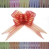 Organza Butterfly Bow