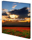 beautiful landscape canvas painting