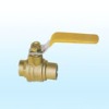 Brass Water Valve