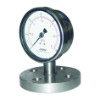 Isolated diaphragm pressure gauge with flange mounting