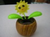 wood grain solar flower