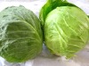 Fresh round cabbage