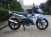 110cc cub motorcycle PL110-3