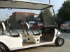 e golf cart