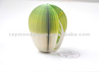 cabbage fruit notepad memo pad