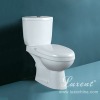 Washdown two-piece toilet in white dual flush with slow down cover