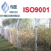 bilateral wire fence