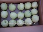 China fresh sweet gong pear