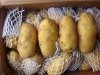 chinese fresh yellow potato