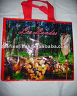 Print PP Bag