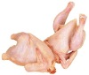 Fresh Frozen halal bone in whole chicken