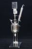 F10J2A -Jacketed Glass Reactor