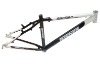 Bicycle frame