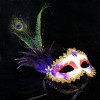 CM0141 Feather Mask