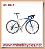 Sports Bike (OK-1002)