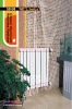 copper and aluminium composite radiator