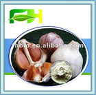 Ground Dehydrated Garlic Powder Supplier