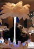 Wedding Party Decoration Ostrich feathers