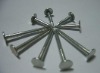 round head stainless steel nail