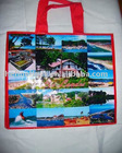 Print PP Bag