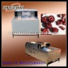 hot sale fruit kernel/seed removing machine