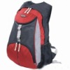 2011 Sports Backpack