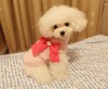 Pet Clothes/Dog Sexy Dress