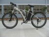 electric bicycle