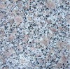 Granite tile 3783