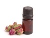 Pure Natural Fragrance Essential Oil