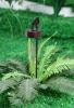 2012 New Design Solar Landscape Light