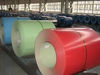 prepainted galvanized steel coil