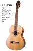 acoustic classical guitar