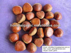 Good quality 2012 new crop frozen peeled chestnuts