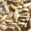 sunflower seeds kernel organic