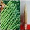 best quality polysaccharide 30%,80% asparagus extract