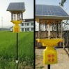 Fashionable solar radial insect killer lamps for outdoor