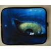 Eye cartoon CD case DT-B1335