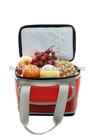 hard moulded EVA bottom ice can cooler bag