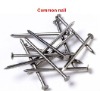 polished common iron nails(low carbon steel hard drawn)