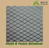 Expanded Mesh