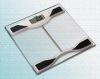 Electronic Personal Scale