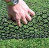 Standard Turf Reinforcement Mesh