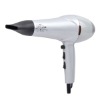 Professional AC motor hair dryer with ionic function available 2000-2200W