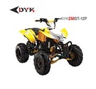 SPORTS ATV.DYK250ST-12P(EPA/CARB)