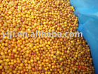 IQF SEA BUCKTHORN