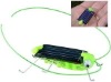 SOLAR Crazy cricket