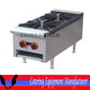 Commercial Gas Burner