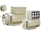 TM Series Single-Phase/Three-Phase Brushless Generator