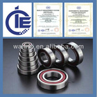 High Quality Angular Contact Ball Bearing (7304)